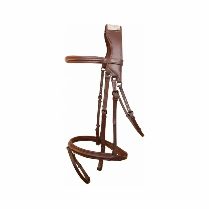 Bridles with bridge T de T Raphaël