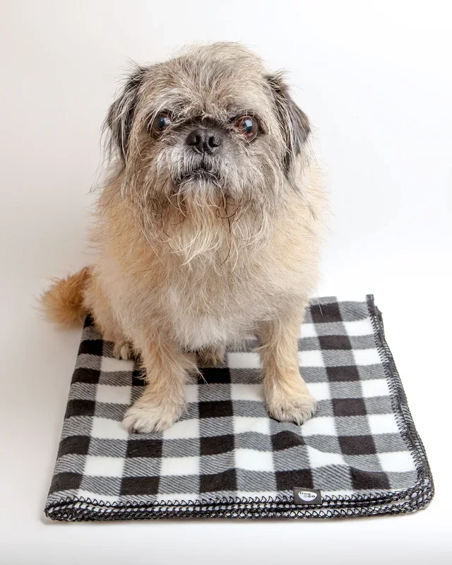 Buffalo Check Fleece Blanket