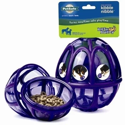 Busy Buddy Kibble Nibble lg large petsafe