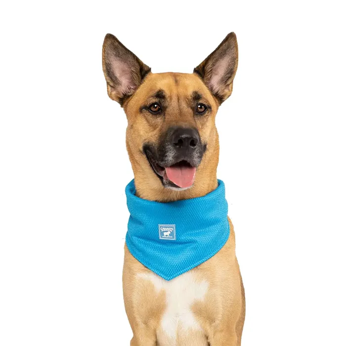 Canada Pooch Cooling Dog Bandana – Blue