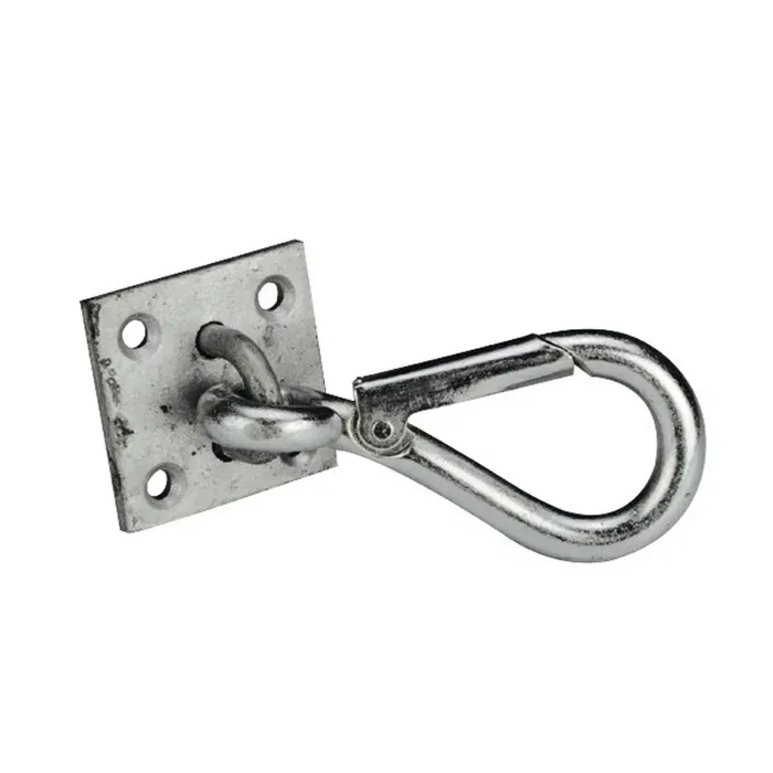 Carabiner plate Ekkia