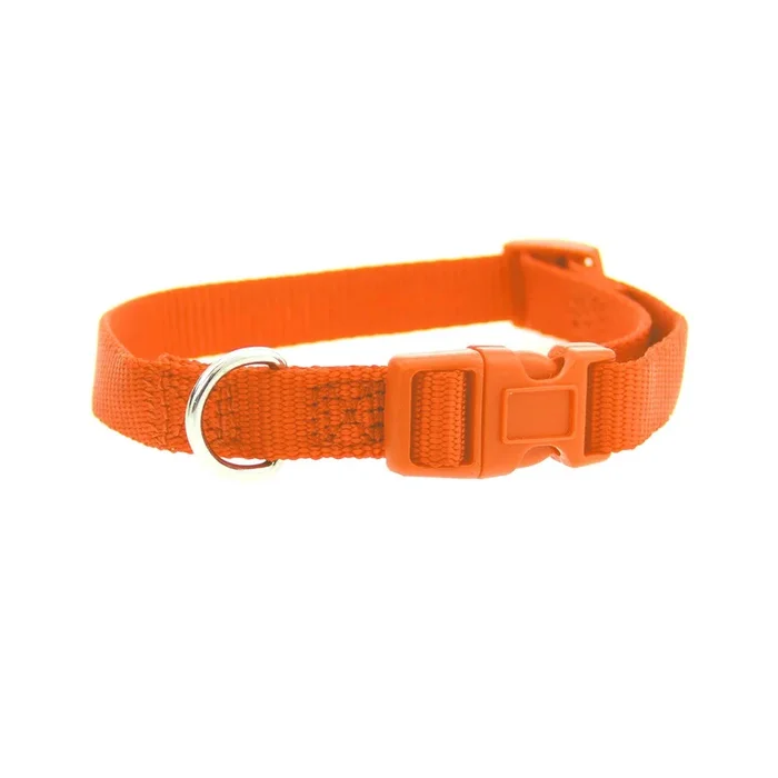 Casual Canine Nylon Dog Collar – Orange