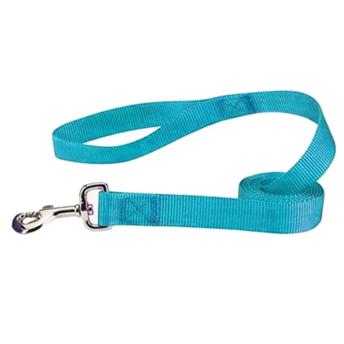 Casual Canine Nylon Dog Leash – Bluebird