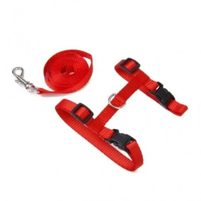 Cat harness with leash Bobby Access [Size 22/32 cm]