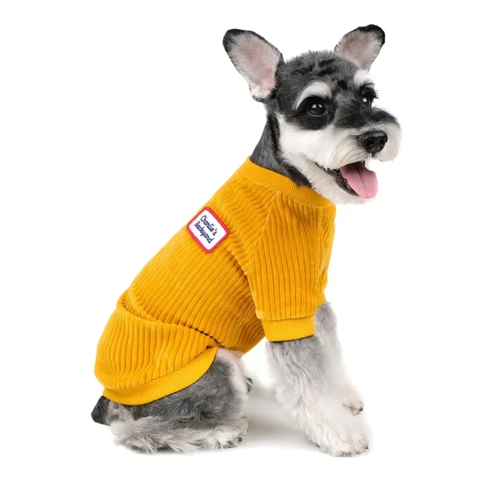 CHARLIE’S BACKYARD | Alley Pullover in Mustard