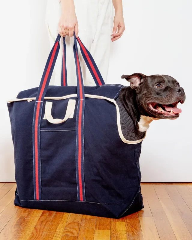 City Carrier Dog Bag in Size 4