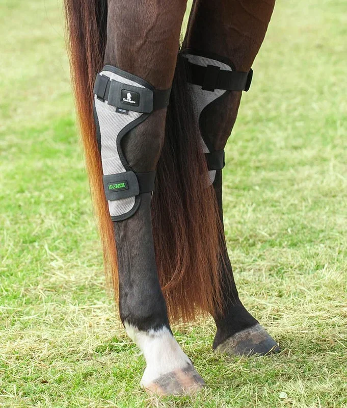 Classic Equine MagNTX Magnetic Therapy Hock Wraps, Pair