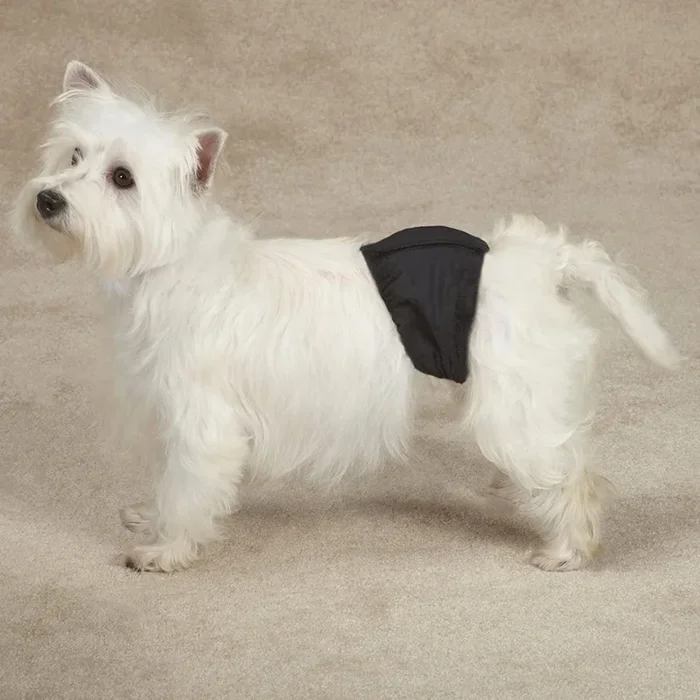 ClearQuest Washable Male Wrap for Dogs