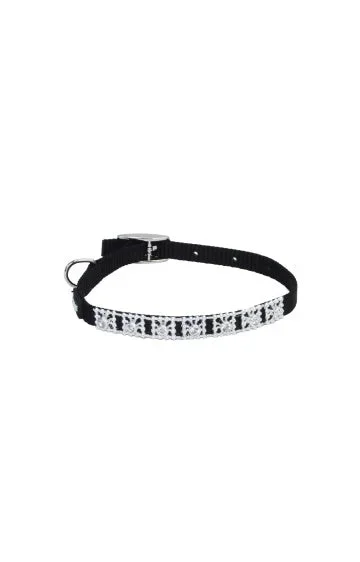 Coastal Lil Pals Jeweled Nylon Collar