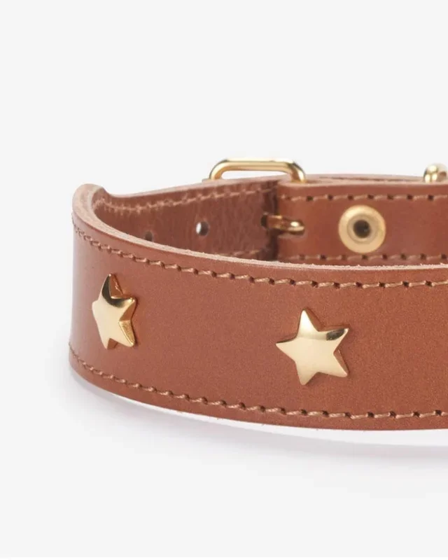 Cognac Leather Dog Collar with Brass Stars (Made in Italy)