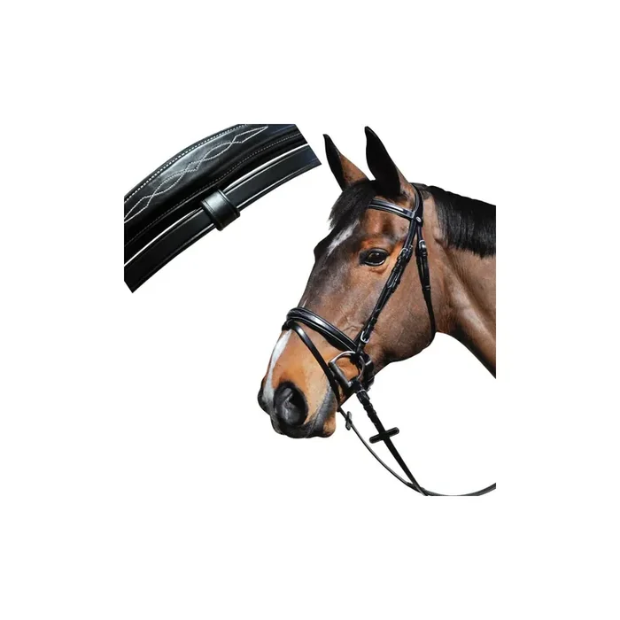 Combination boston riding bridles Lexington