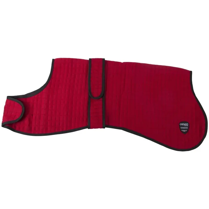 Cooler dog blanket Catago
