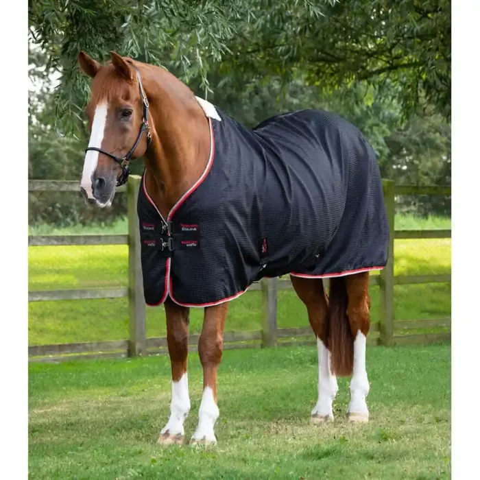 Cooling blanket for horses Premier Equine Cooler Buster