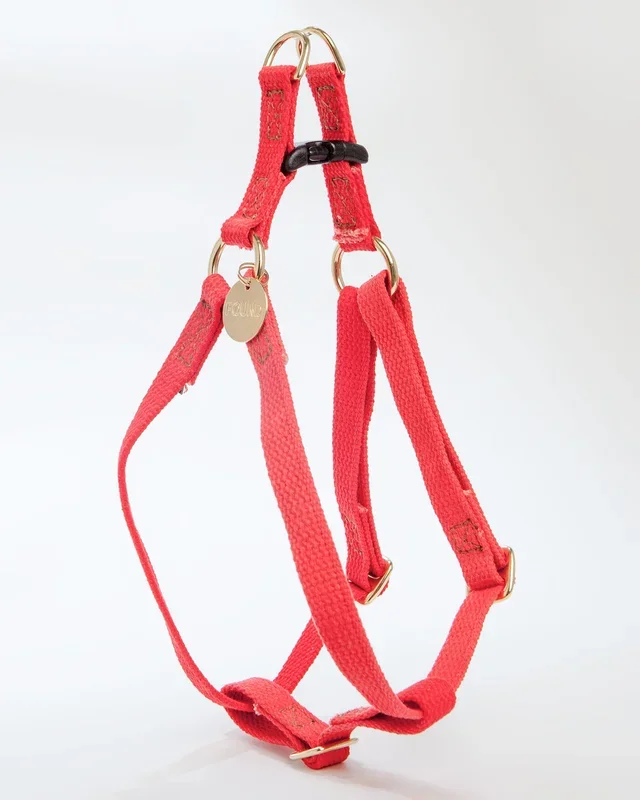 Cotton Webbing Harness in Coral
