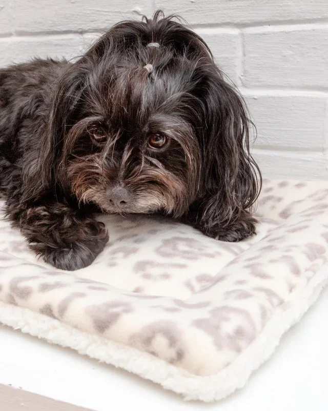 Cream Leopard Plush Fleece Pet Napping Mat (Made in the USA) (FINAL SALE)