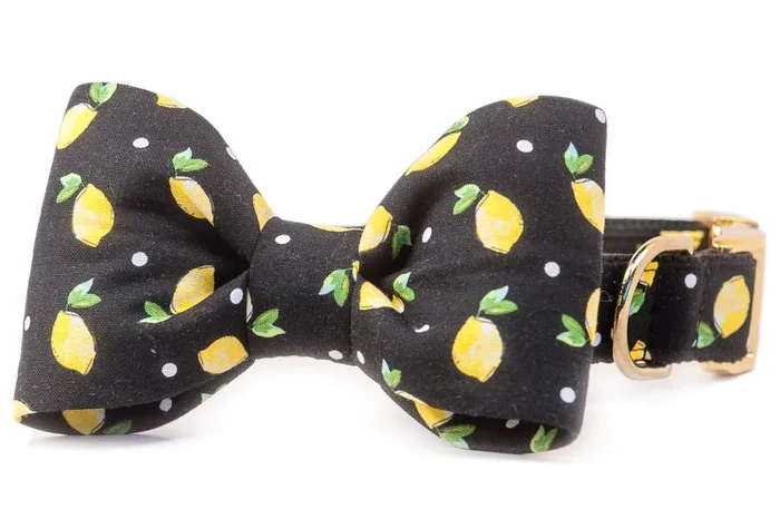 CREW LA LA | Tom Collins Bow Tie