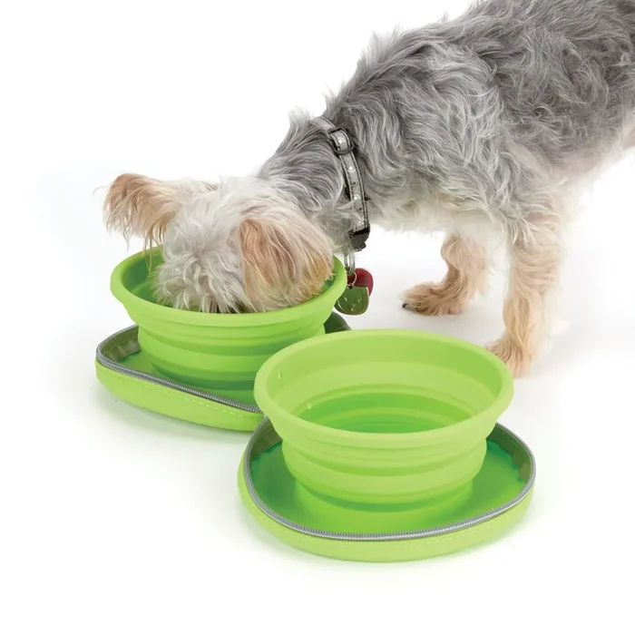 Cruising Companion Collapsible Silicone Travel Dog Diner – Green