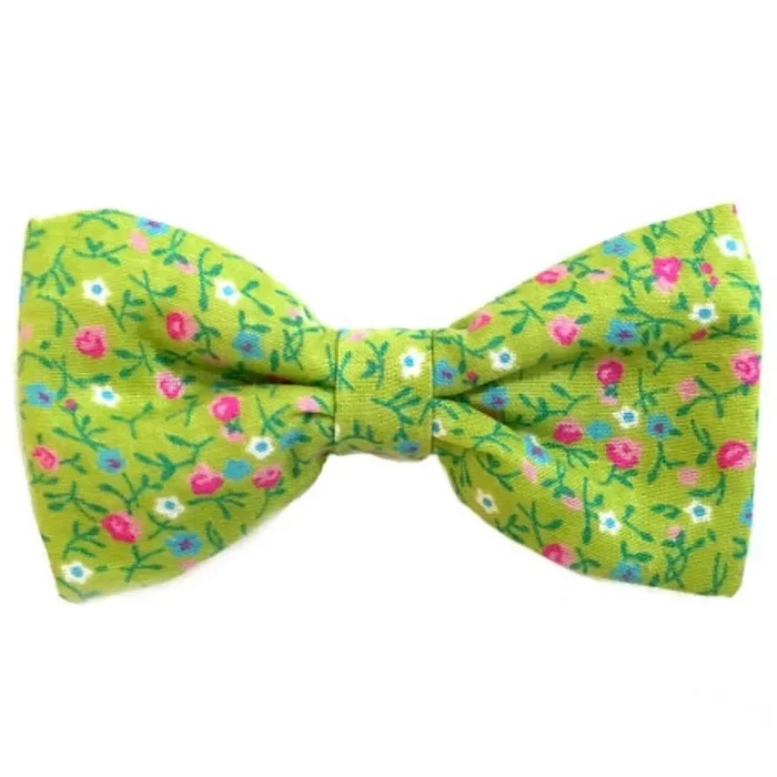 Daisy and Lucy Green Flowers Dog Bow Tie