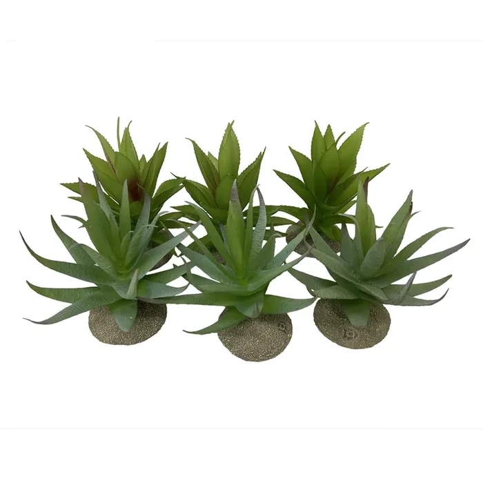 Decorative aloe for terrarium Terra Della [Size 12x11x11.5 cm]