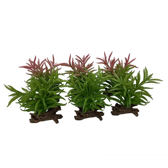 Decorative object crassula Terra Della [Size 13×10.5×16 cm]