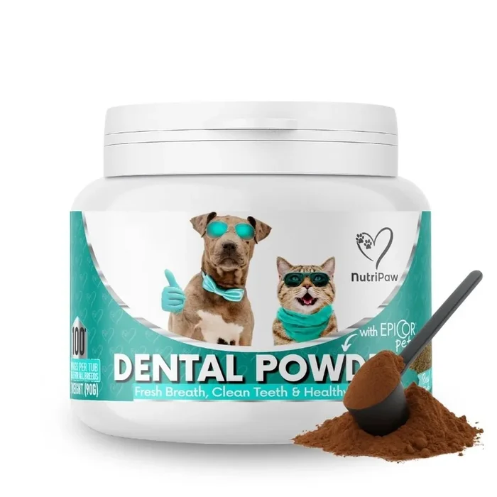Dental Powder
