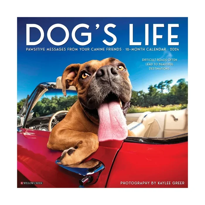 Dog’s Life 2024 Wall Calendar