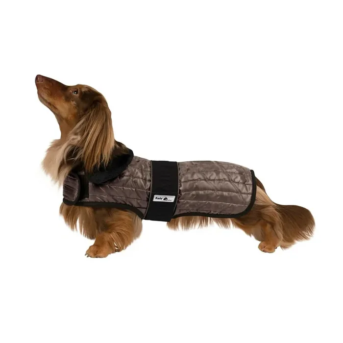 Dog coat Fair Play Gustavo