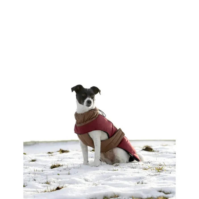 Dog coat Kerbl Royal Pets [Size XL]