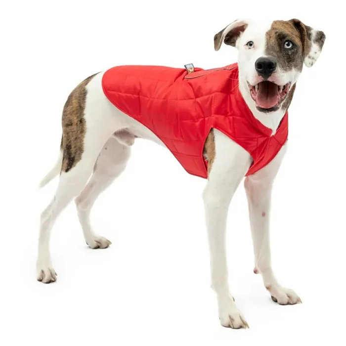 Dog coat Kurgo Loft