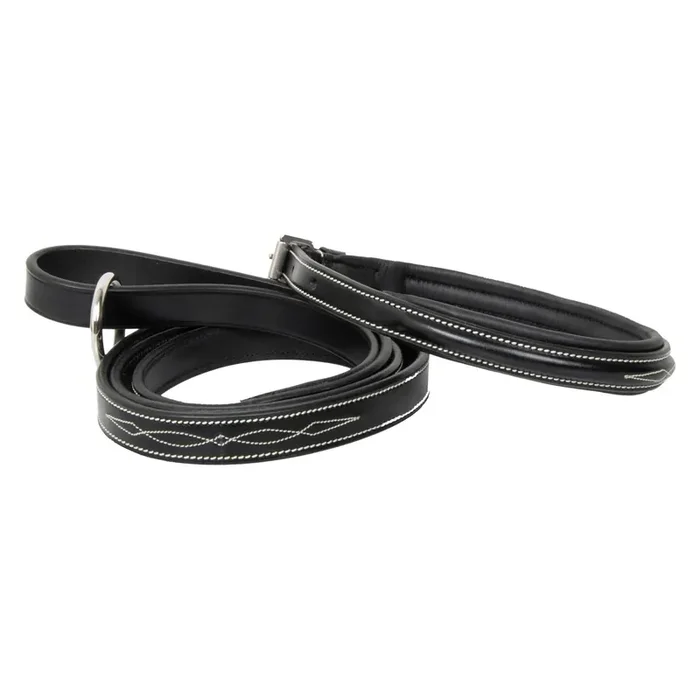 Dog collar HV Polo Legacy