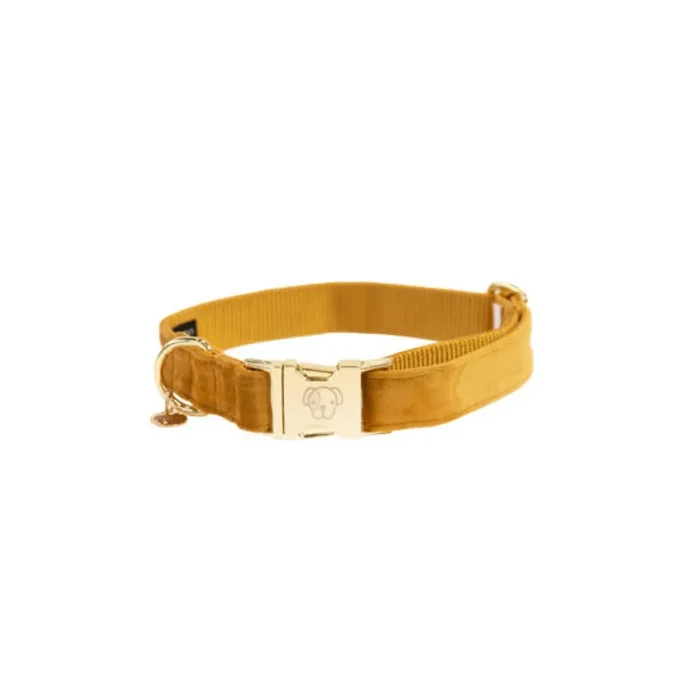 Dog collar Kentucky Velvet
