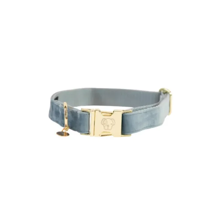 Dog collar Kentucky Velvet