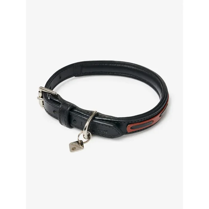 Dog collar LeMieux Cambridge