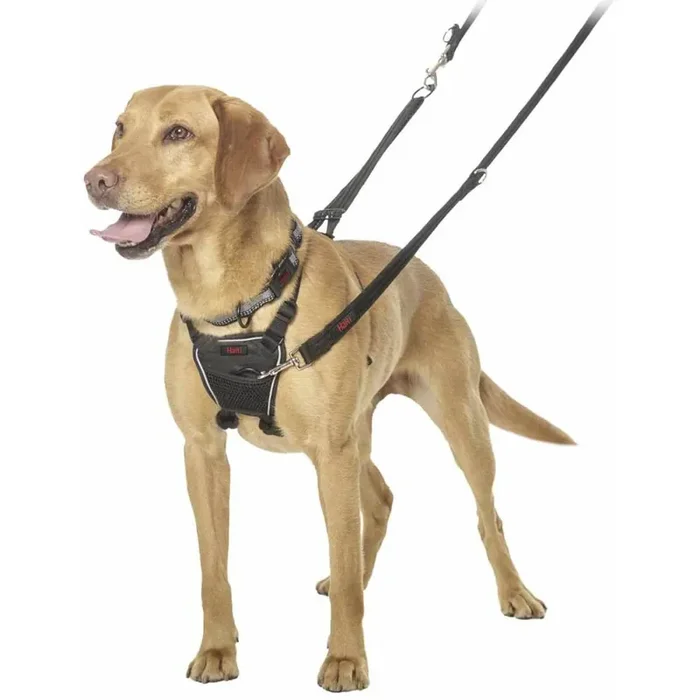 Dog harness Nobby Pet Halti No-pull PM [Size 36×64 cm]