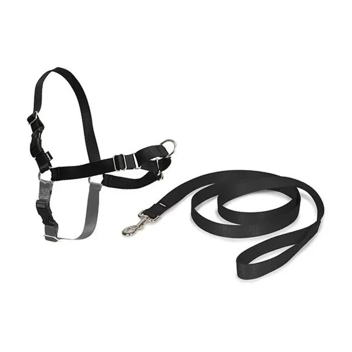 Dog harness PetSafe Easy Walk [Size S]