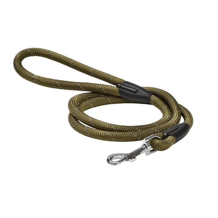 Dog leash Bobby Walk