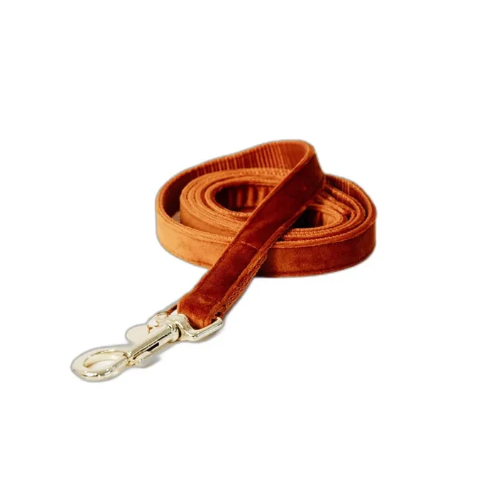 Dog leash Kentucky Velvet 120 cm [Size L]