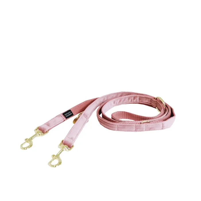 Dog leash Kentucky Velvet 200 cm [Size S]