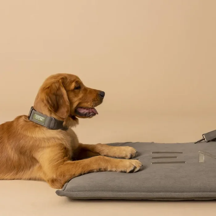 Dog mats GEM