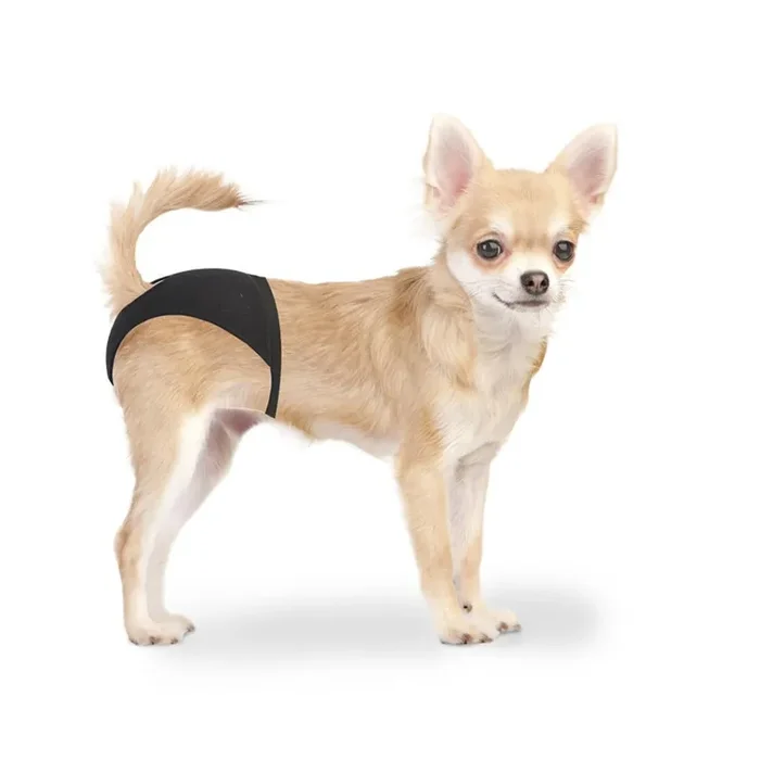 Dog nappy Duvoplus