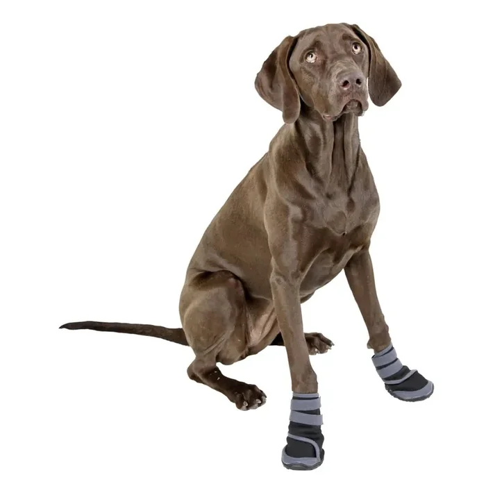 Dog shoes Kerbl Active [Size M]