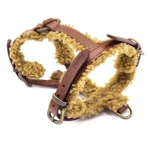 Dog With a Mission Dog Harness-Teddy