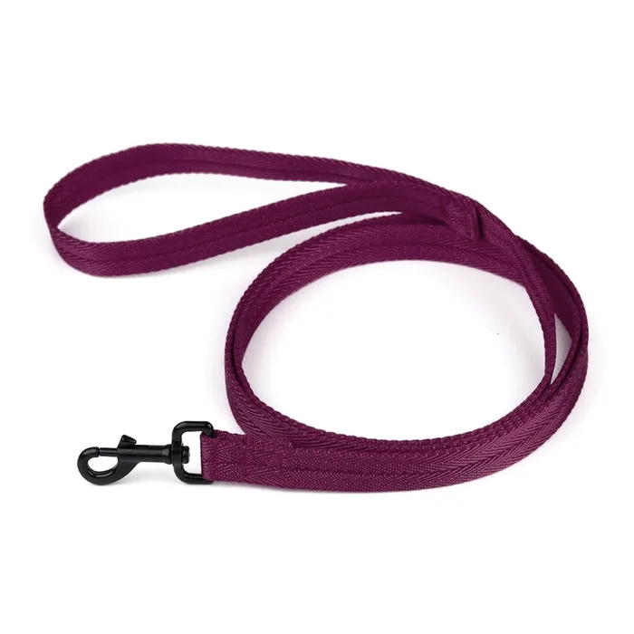 Dogline Flat Nylon Dog Leash – Berry