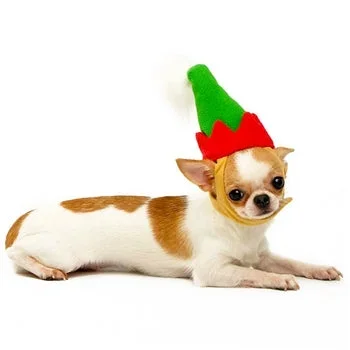 DOGO | Elf Hat