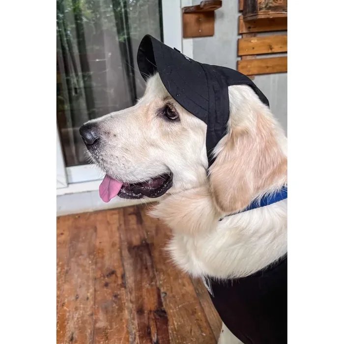 Dogobow Baseball Cap for Dogs (Black) (Get a Bow Free)