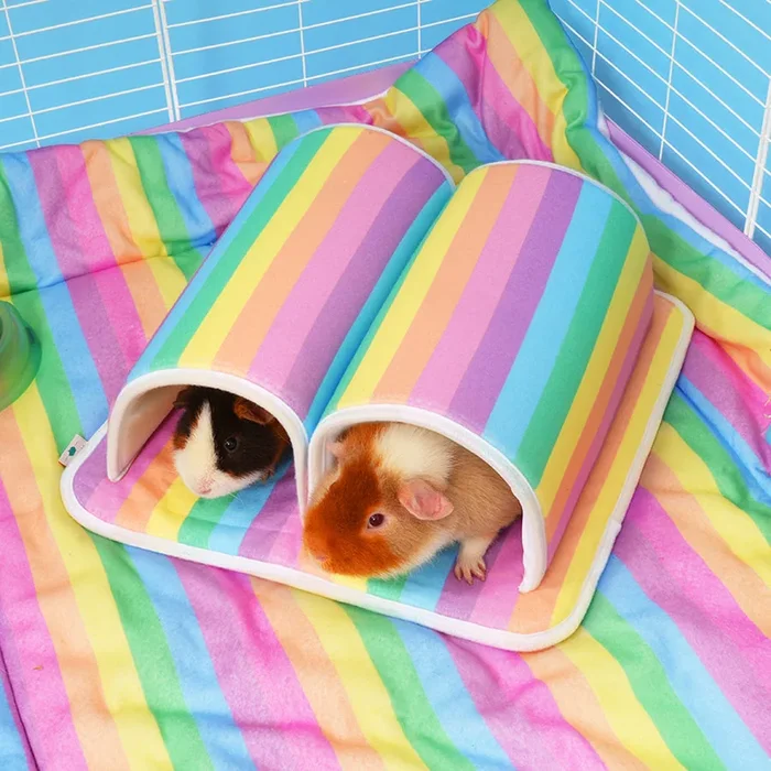 Double Tunnel | Rainbow