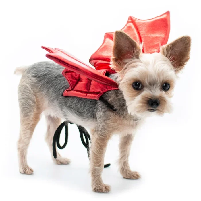 Dragon Wings Costume from Dogo Pet