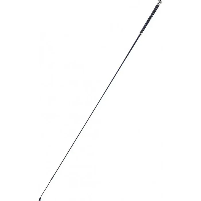Dressage stick for horses Whip & Go Points