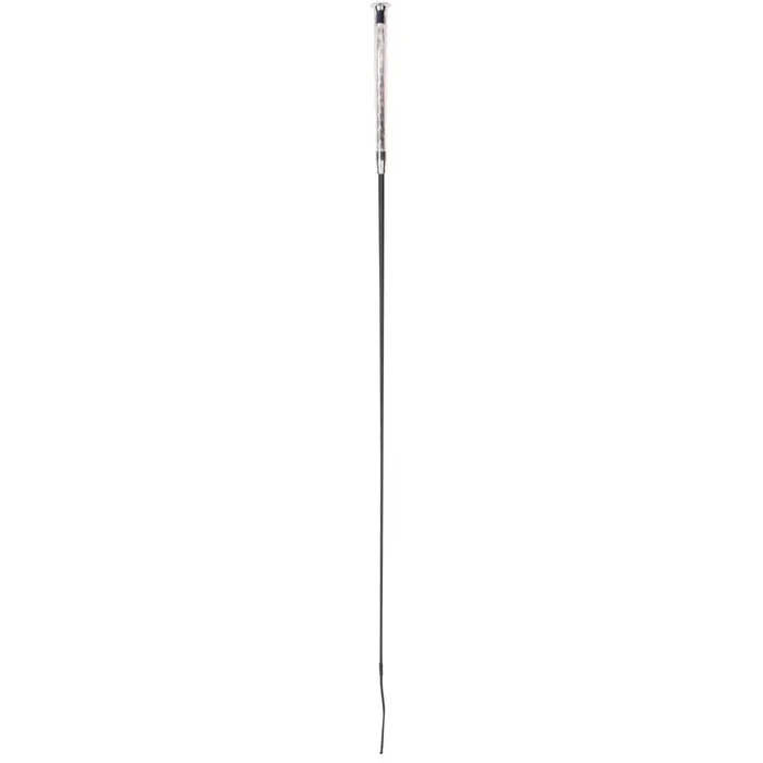 Dressage Whip Harry‘s Horse Piaffe