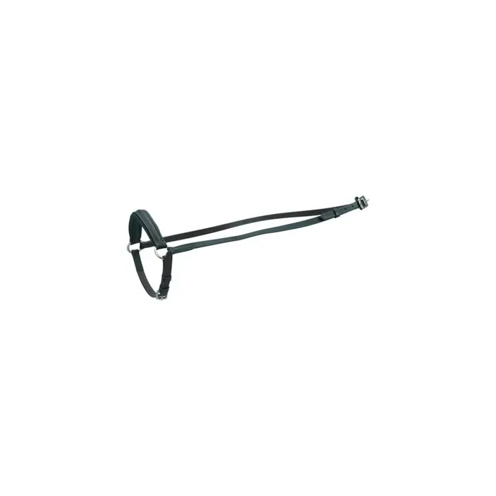 Drooping Horse cheek pieces HorseGuard